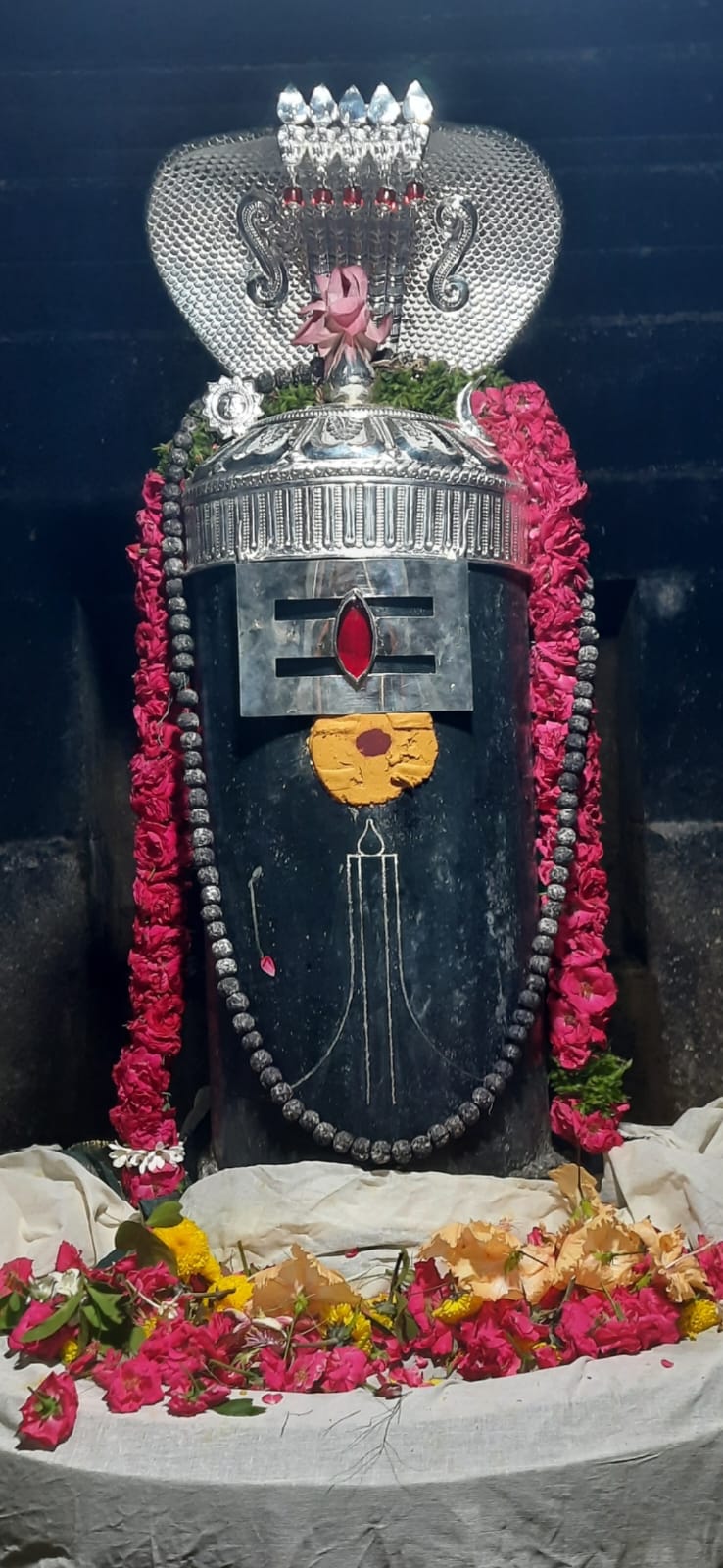 Parokshaseva Sri MrutyunjayaSwamyvari Abhisekam