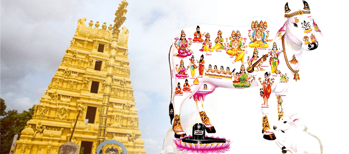 Gow Puja