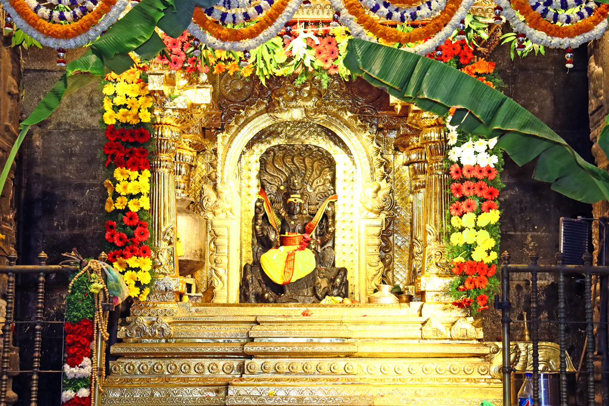 Parokshaseva GuruDakshinamurthySwamy Abishekam