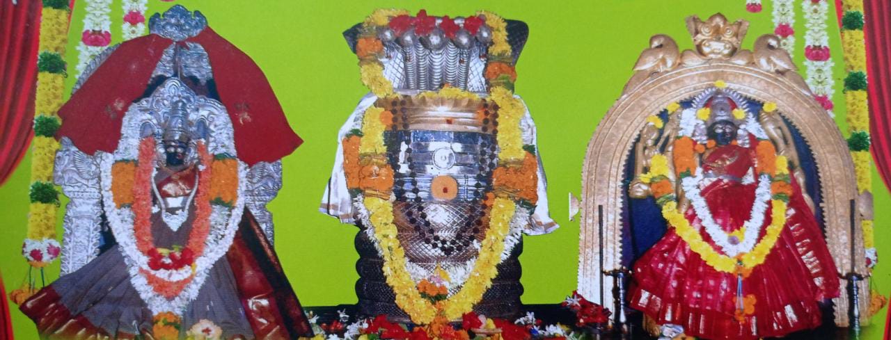 ఏకాదశీ రుద్రాభిషేకం