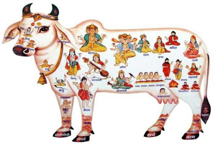 గోపూజ