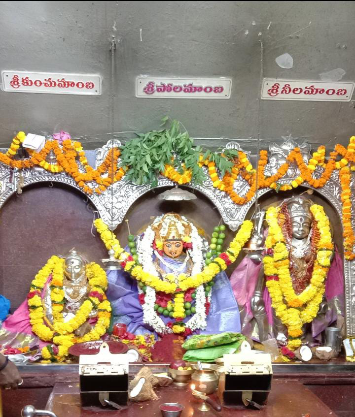 చీర మ్రొక్కుబడి