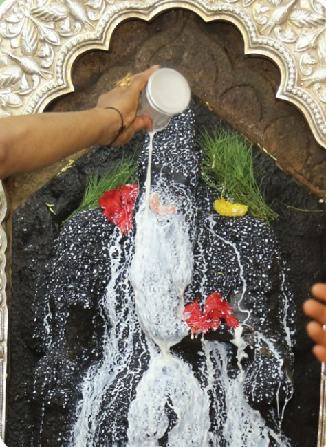 LAGHUNYASA ABHISHEKAM