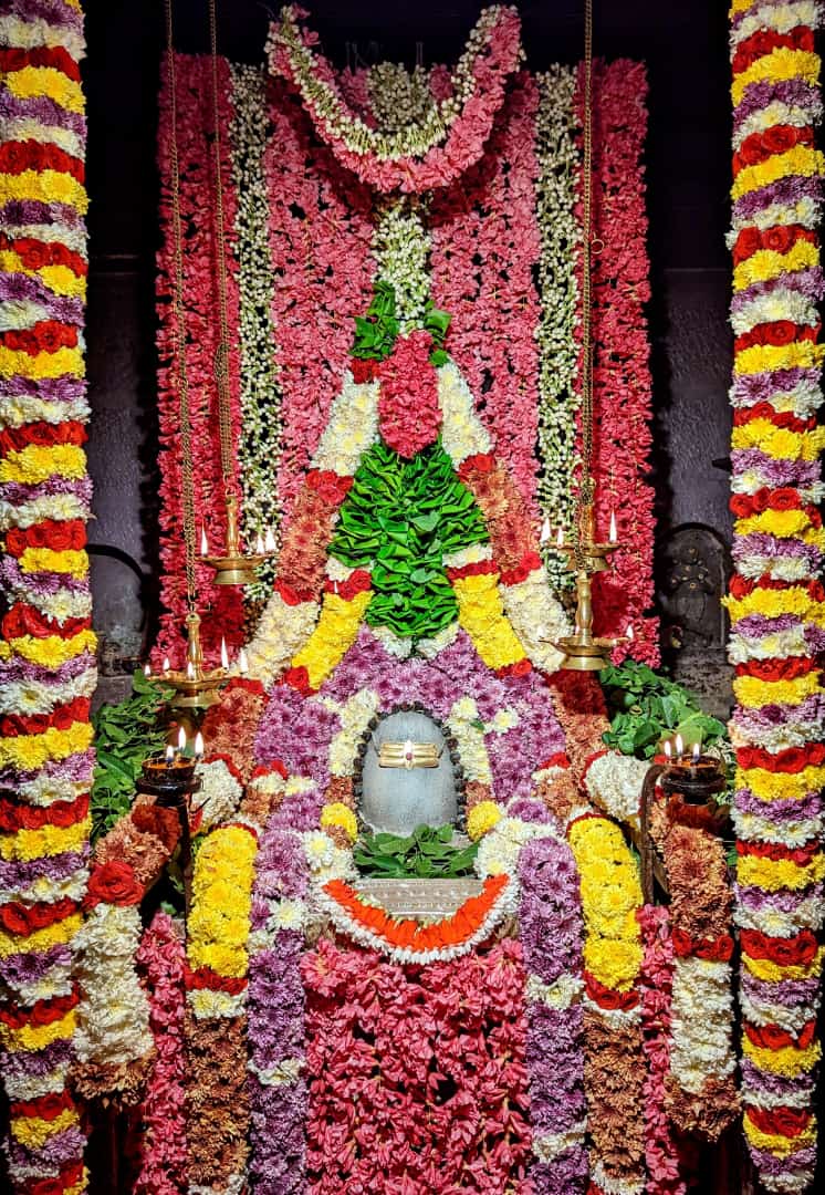 ప్రత్యేక పూజ