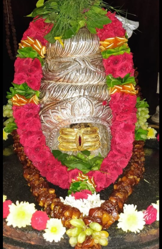 Eka Rudraabhishekam