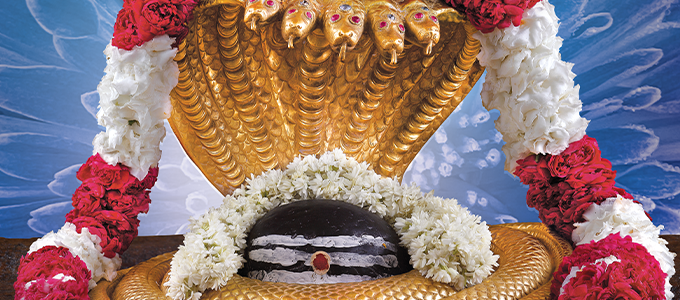 Rudraabhishekam (Virtual Seva - పరోక్ష సేవ)